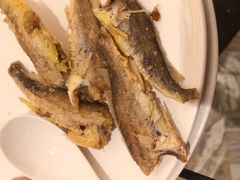 -九号温泉生活馆