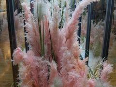 -拈菜(观音桥阳光世纪店)