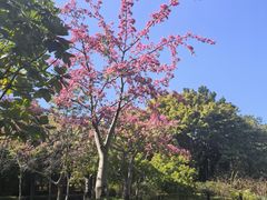 -晓港公园