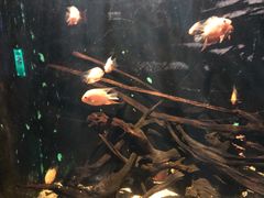 -常州海昌海洋探索馆