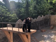 -东方熊牧场