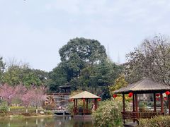 -成飞公园