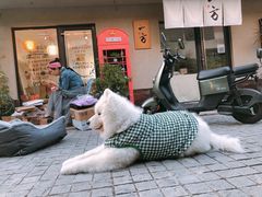 -Bamboo Today Cafe(国创园店)