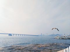 -星海湾跨海大桥