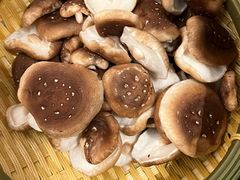 有机松香菇-捞王锅物料理(济南万象城店)