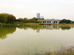 -尚贤河湿地
