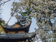 -龙华寺