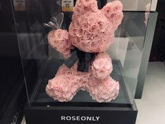 -ROSEONLY诺誓(广州K11店)