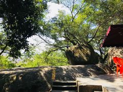 -云洞岩妹仔盐鸡(漳州古城店)