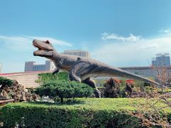 -陕西自然博物馆