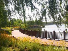 -大兴滨河森林公园