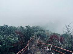 -午潮山国家森林公园
