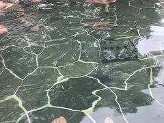 -剑河仰阿莎温泉小镇