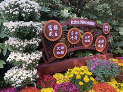 -菊花台公园