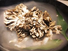 -煲宫猪肚鸡(晶品店)