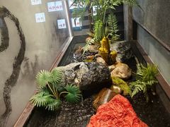 -同和·小葱伴豆腐(凤凰北路店)