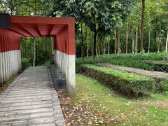 -重庆彩云湖湿地公园