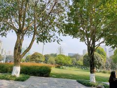 -重庆中央公园(渝北区)