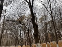 -长春世界雕塑园冰雪艺术天地