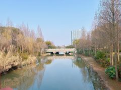 -南翔镇银翔湖公园