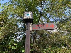 -沈阳辉山风景区