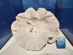 -中国地质博物馆