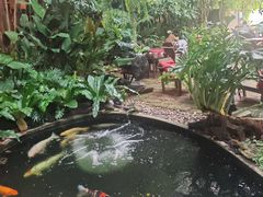 -Fern Forest Cafe