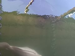 -蓝湾碧波·老字号·疍家非遗海上餐厅