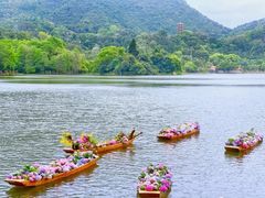 -深圳仙湖植物园