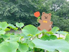 -南山植物园