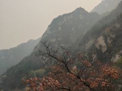 -北京凤凰岭