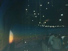 android_upload_pic-溱湖国家湿地公园