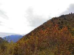 -孟屯河谷景区