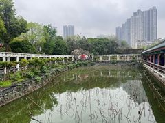 -开福禅寺