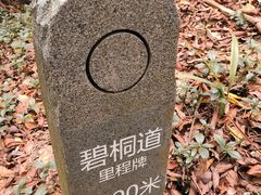 -梧桐山风景名胜区