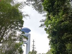-白云山风景名胜区