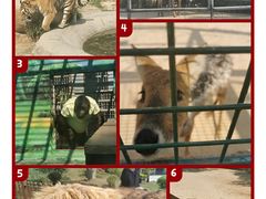 -泉州海丝野生动物世界