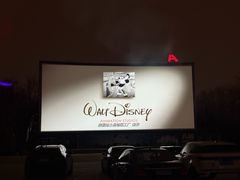 -枫花园汽车电影院(朝阳公园店)