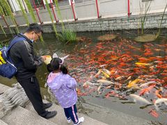 -济南方特东方神画