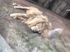 -南昌动物园