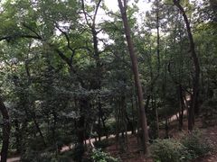 -观象山公园