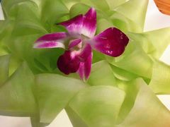 -草原塞蛮羊火锅城(港湾店)