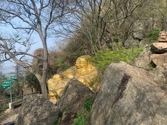 -紫金山山顶公园