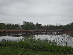 -长兴太湖图影湿地文化园