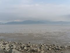 -深圳湾公园(南山区)