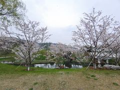-羊山湖公园