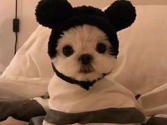 -邵子牙·中华老字号(定安路店)