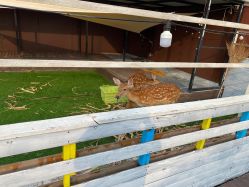 -小蜜蜂农场(凯德七宝购物广场店)