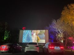 -枫花园汽车电影院(朝阳公园店)
