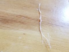 -呼市烧麦羊杂(幸福路店)